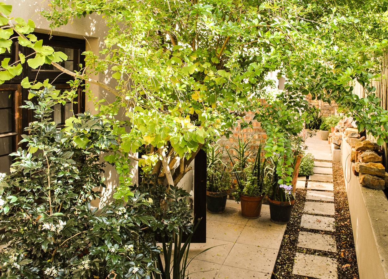 Wessels House Studio كيب تاون المظهر الخارجي الصورة